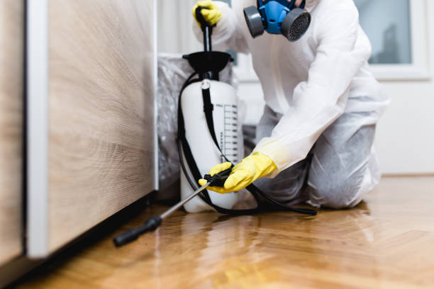 Best Affordable Pest Control Services  in Fernandina Beach, FL