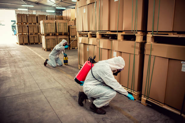 Wildlife Control Services in Fernandina Beach, FL