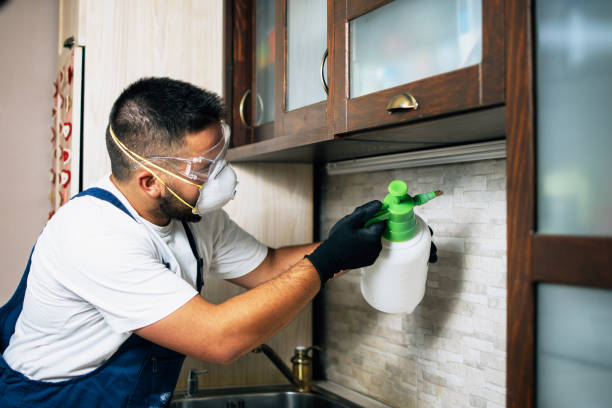 Best Affordable Pest Control Services  in Fernandina Beach, FL