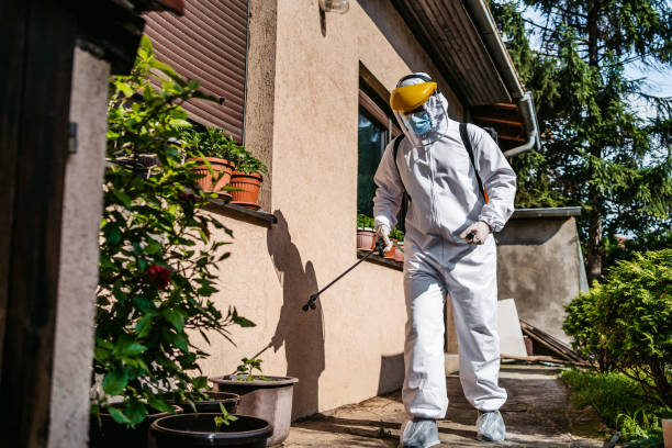 Best Emergency Pest Control  in Fernandina Beach, FL