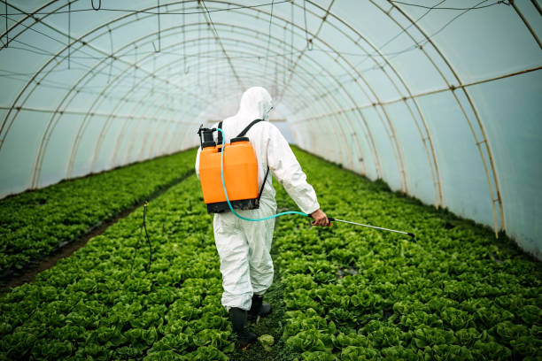 Best Best Pest Control Companies  in Fernandina Beach, FL