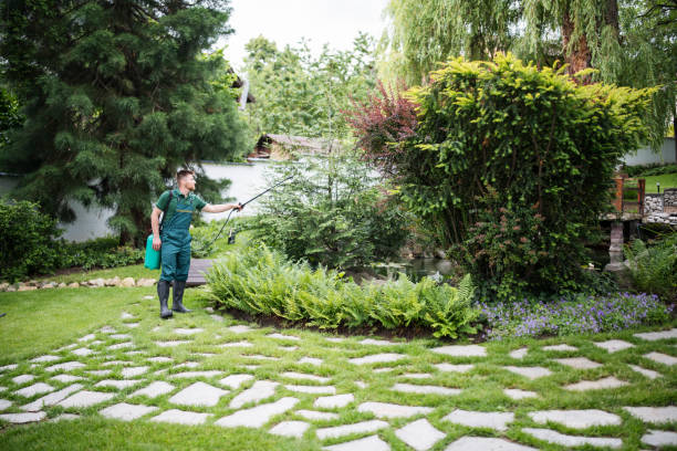 Best Pest Removal Services  in Fernandina Beach, FL