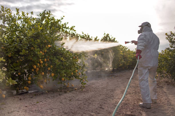 Best Wildlife Control Services  in Fernandina Beach, FL