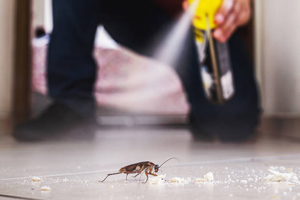 Best Best Pest Control Companies  in Fernandina Beach, FL