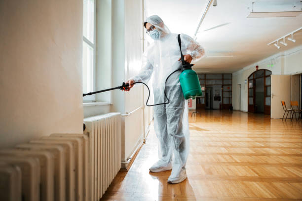 Best Pest Control Near Me  in Fernandina Beach, FL