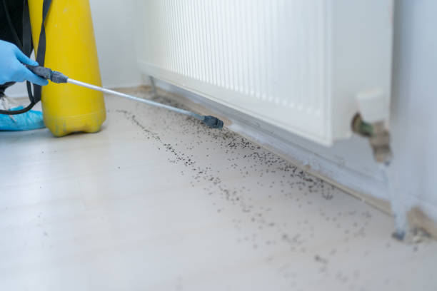 Best Pest Prevention Services  in Fernandina Beach, FL